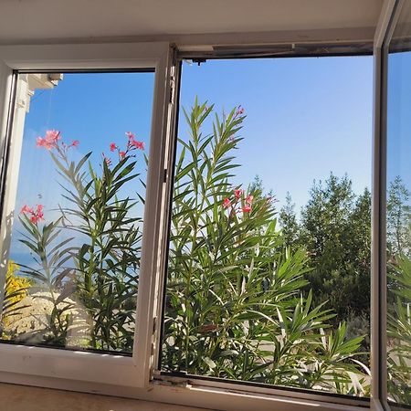 Apartments Chiara Mit Meerblick Und Pool Und Jacuzzi Lovran Eksteriør billede
